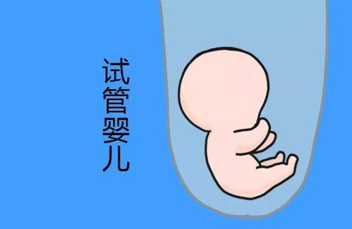 孕妈供卵代怀助孕咨询微信群生殖医学中心